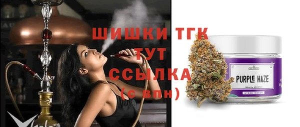 индика Архангельск