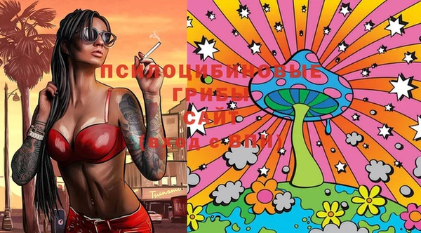 метадон Рославль