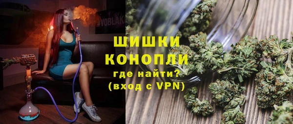 индика Архангельск