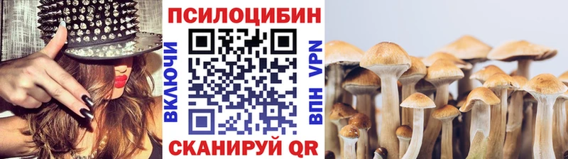 дарнет шоп  Белая Холуница  Галлюциногенные грибы MAGIC MUSHROOMS 