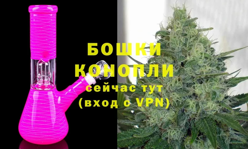 Конопля White Widow  Белая Холуница 